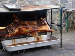 Resize of DSC05795.JPG